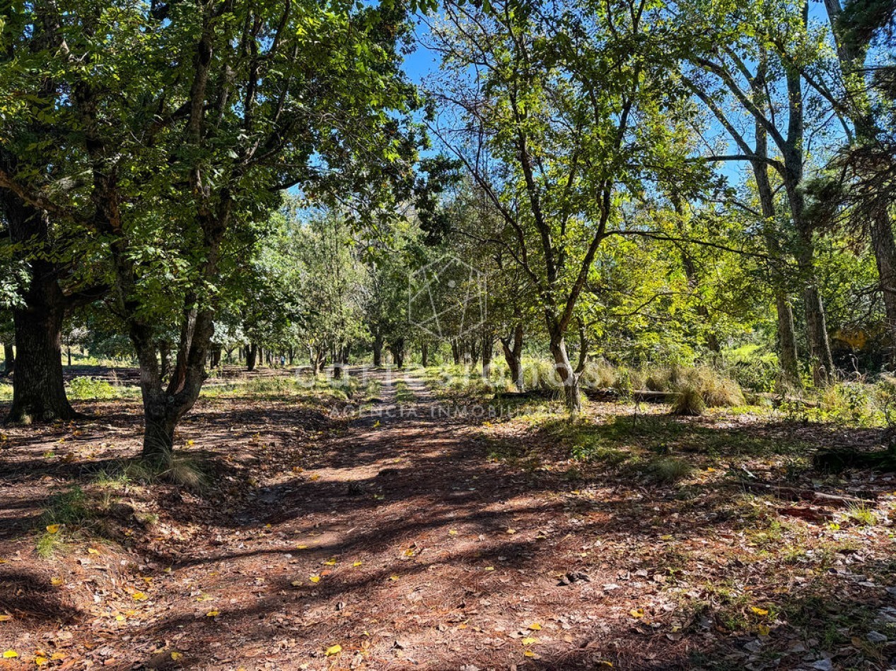 POTRERO DE GARAY | CAMPO DE 80 HECTAREAS + CASA DE 4 DORM+CASA DE SERVICIO+GALPON 