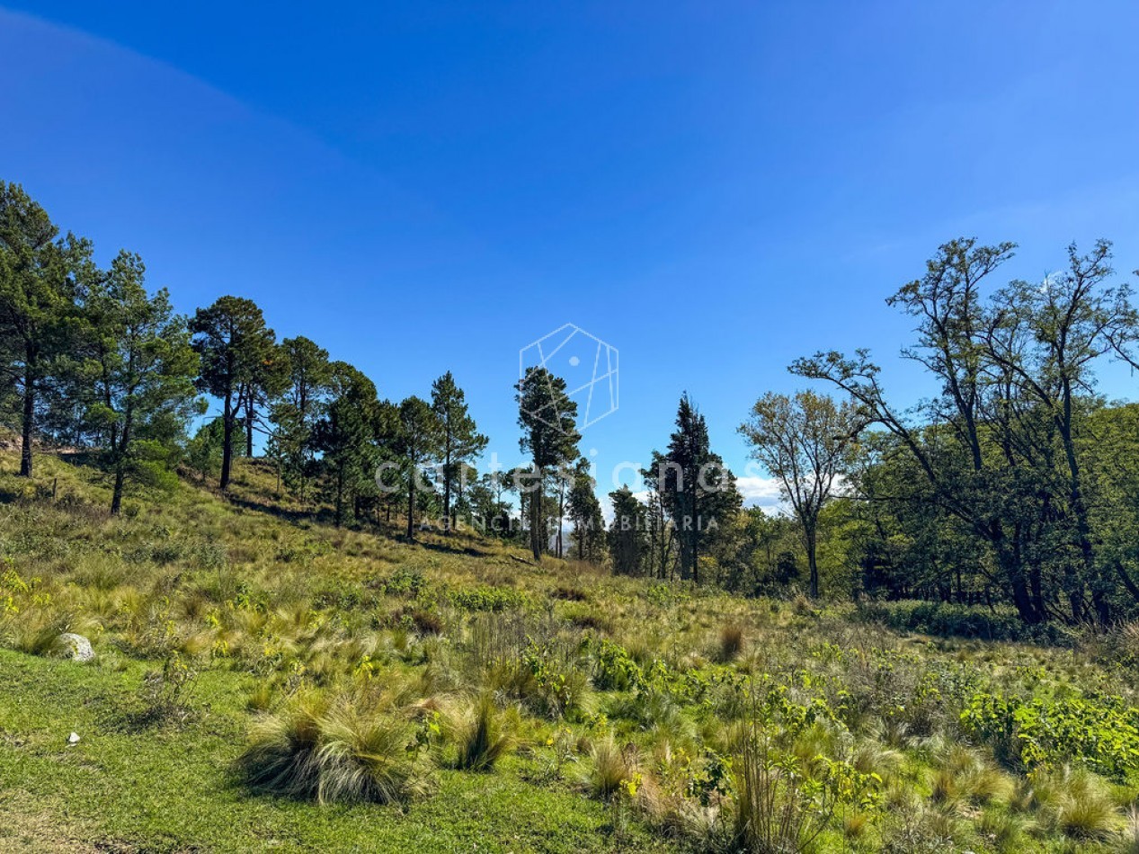 POTRERO DE GARAY | CAMPO DE 80 HECTAREAS + CASA DE 4 DORM+CASA DE SERVICIO+GALPON 