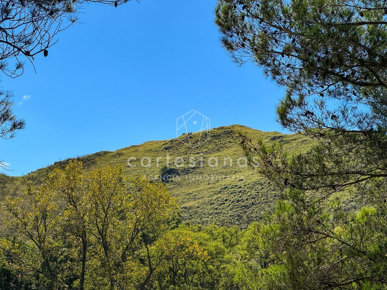 POTRERO DE GARAY | CAMPO DE 80 HECTAREAS + CASA DE 4 DORM+CASA DE SERVICIO+GALPON 
