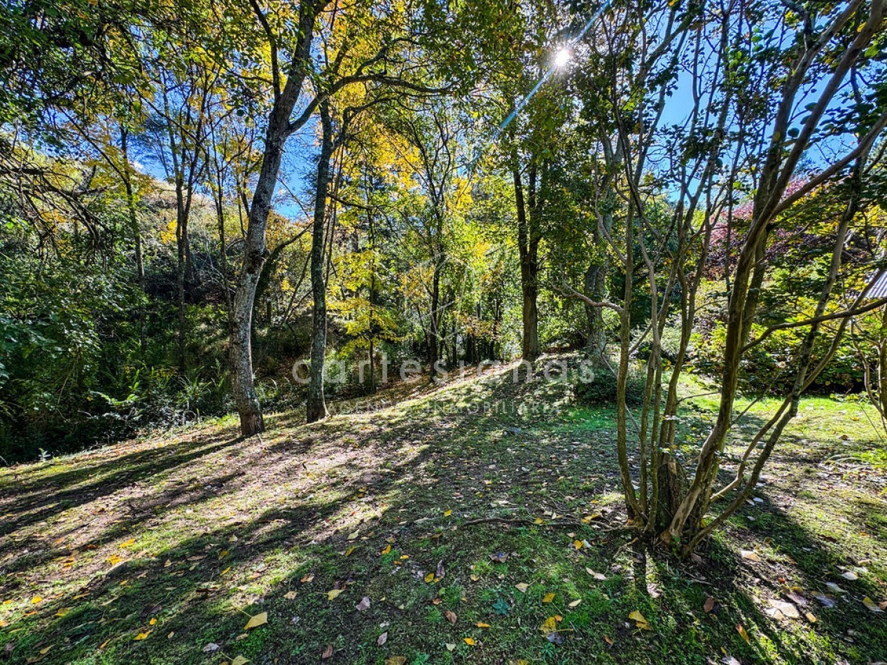 POTRERO DE GARAY | CAMPO DE 80 HECTAREAS + CASA DE 4 DORM+CASA DE SERVICIO+GALPON 