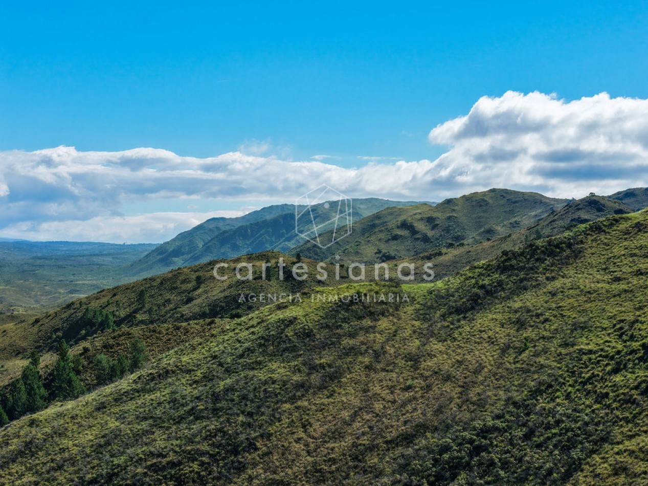 POTRERO DE GARAY | CAMPO DE 80 HECTAREAS + CASA DE 4 DORM+CASA DE SERVICIO+GALPON 