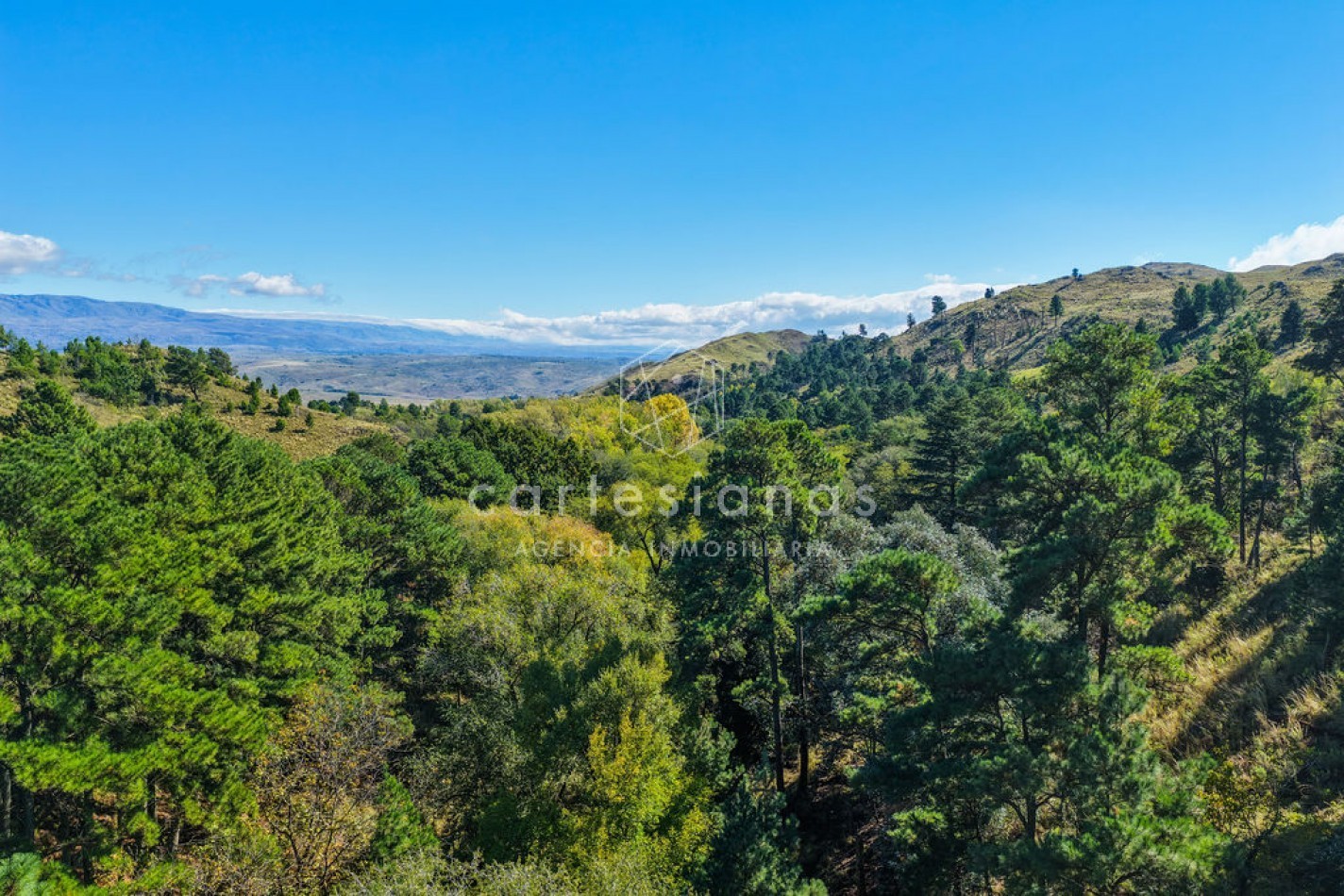 POTRERO DE GARAY | CAMPO DE 80 HECTAREAS + CASA DE 4 DORM+CASA DE SERVICIO+GALPON 