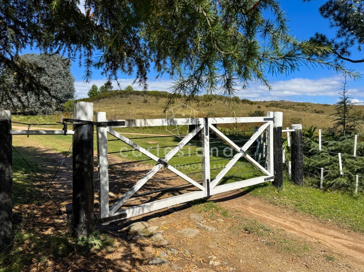 POTRERO DE GARAY | CAMPO DE 80 HECTAREAS + CASA DE 4 DORM+CASA DE SERVICIO+GALPON 