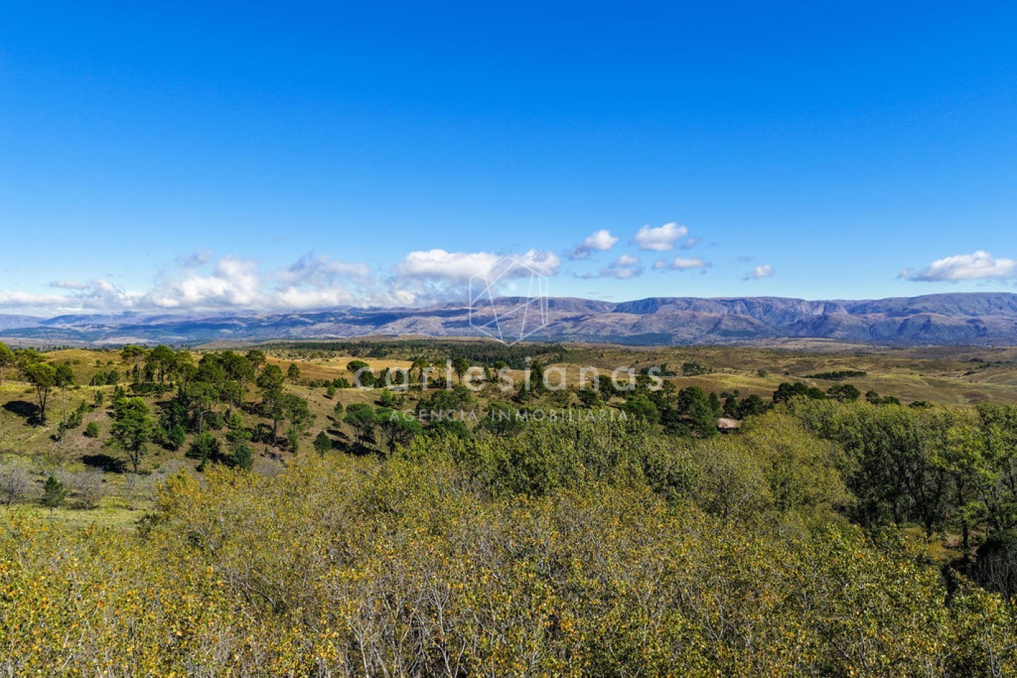 POTRERO DE GARAY | CAMPO DE 80 HECTAREAS + CASA DE 4 DORM+CASA DE SERVICIO+GALPON 