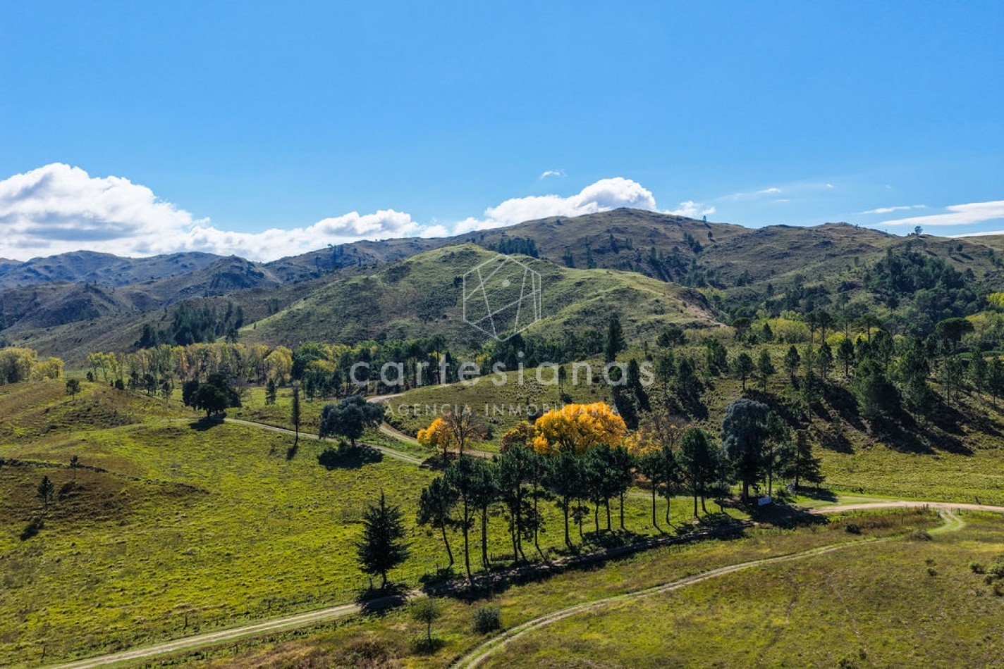 POTRERO DE GARAY | CAMPO DE 80 HECTAREAS + CASA DE 4 DORM+CASA DE SERVICIO+GALPON 