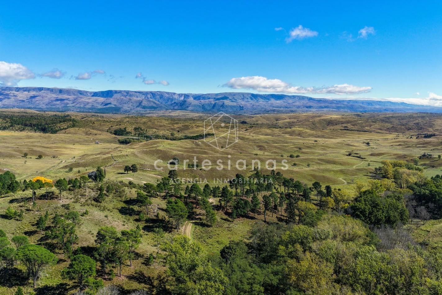 POTRERO DE GARAY | CAMPO DE 80 HECTAREAS + CASA DE 4 DORM+CASA DE SERVICIO+GALPON 