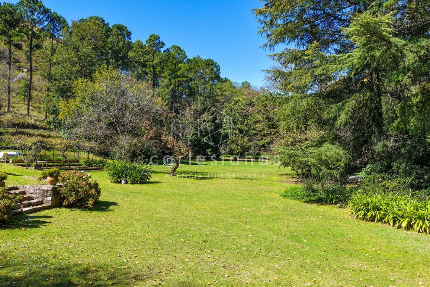 POTRERO DE GARAY | CAMPO DE 80 HECTAREAS + CASA DE 4 DORM+CASA DE SERVICIO+GALPON 