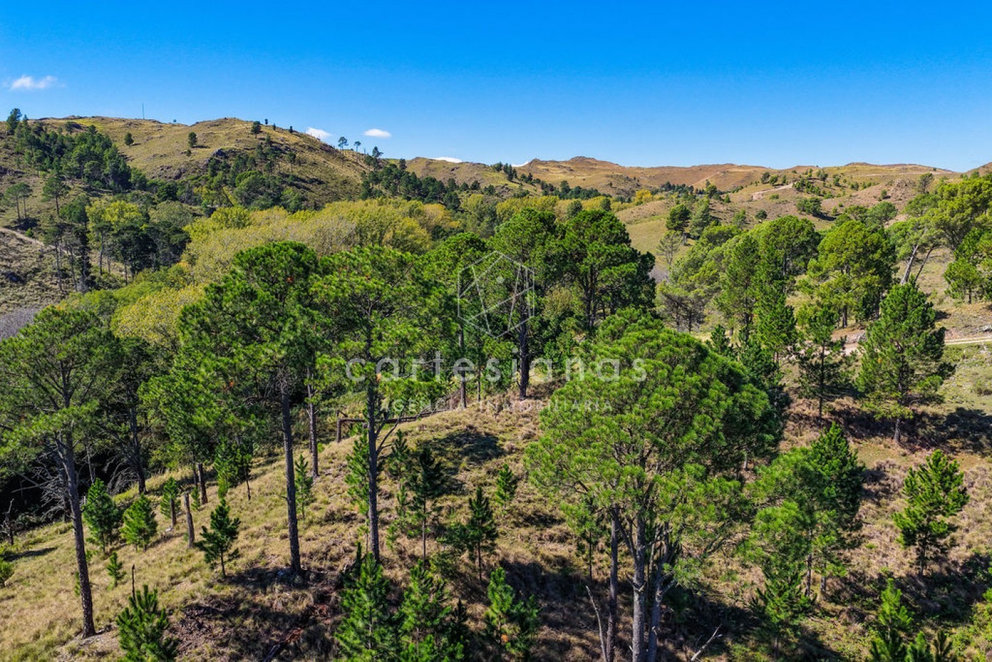 POTRERO DE GARAY | CAMPO DE 80 HECTAREAS + CASA DE 4 DORM+CASA DE SERVICIO+GALPON 