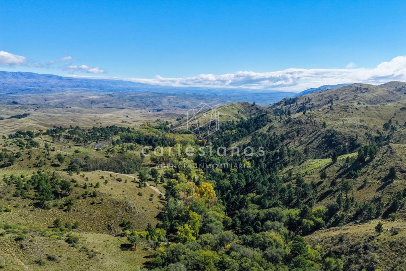 POTRERO DE GARAY | CAMPO DE 80 HECTAREAS + CASA DE 4 DORM+CASA DE SERVICIO+GALPON 
