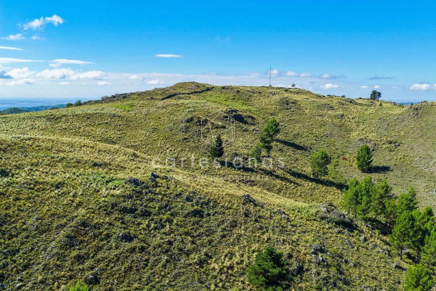 POTRERO DE GARAY | CAMPO DE 80 HECTAREAS + CASA DE 4 DORM+CASA DE SERVICIO+GALPON 