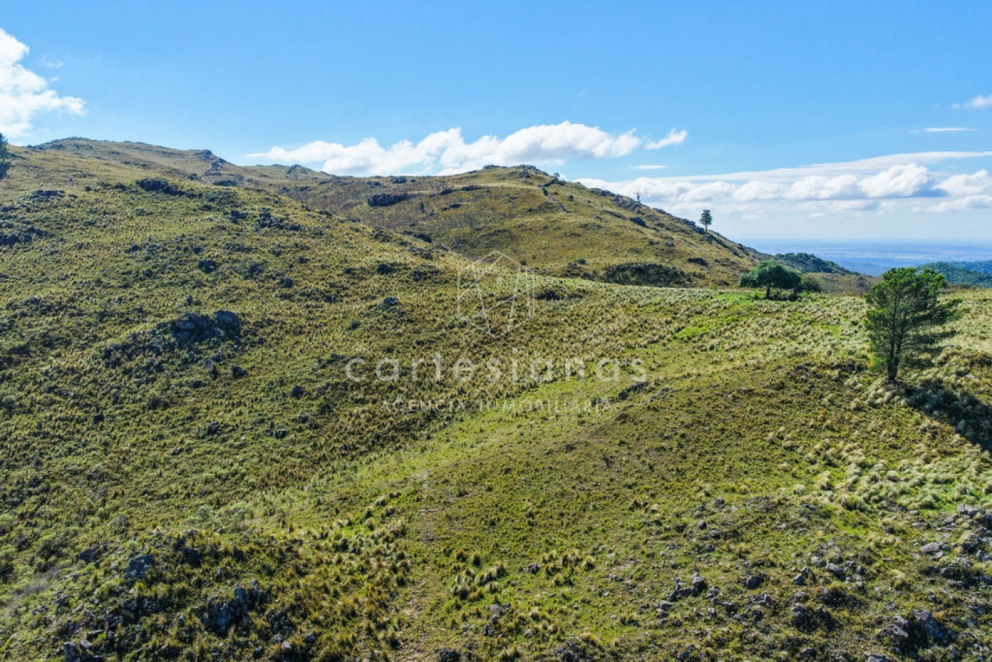 POTRERO DE GARAY | CAMPO DE 80 HECTAREAS + CASA DE 4 DORM+CASA DE SERVICIO+GALPON 