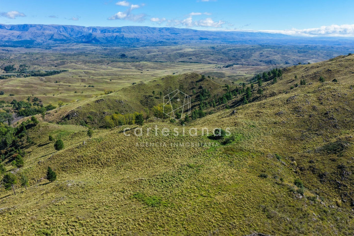 POTRERO DE GARAY | CAMPO DE 80 HECTAREAS + CASA DE 4 DORM+CASA DE SERVICIO+GALPON 