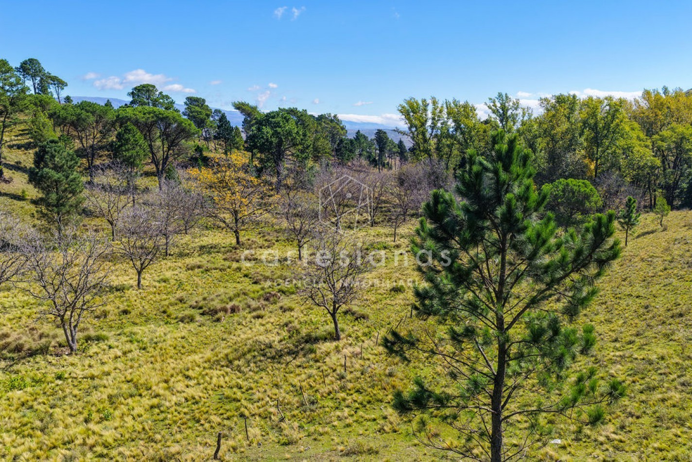 POTRERO DE GARAY | CAMPO DE 80 HECTAREAS + CASA DE 4 DORM+CASA DE SERVICIO+GALPON 