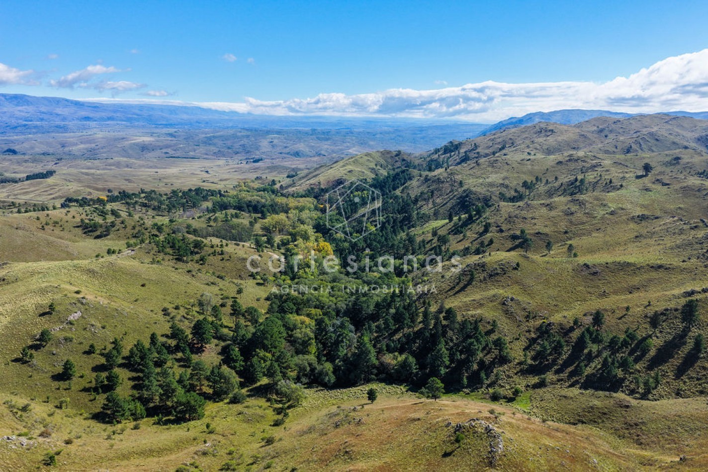 POTRERO DE GARAY | CAMPO DE 80 HECTAREAS + CASA DE 4 DORM+CASA DE SERVICIO+GALPON 