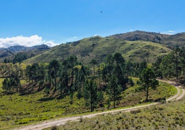 POTRERO DE GARAY- 76 HECTAREAS