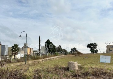 ESTANCIA SANTA LUCIA| LOTE ESQUINA DE 237 M2 ETAPA 1