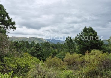 SAN CLEMENTE 9 HECTAREAS C/ SERVICIOS EN VENTA | CORDOBA