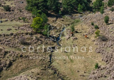 ATENCION! VILLA BERNA. 50 HECTAREAS APTAS PARA VIÑEDO, EMPRENDIMIENTO. 