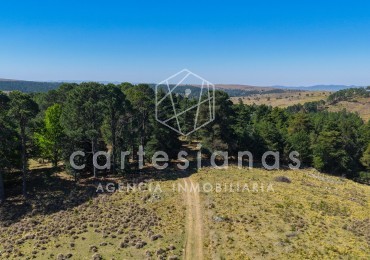 VILLA BERNA. 50 HECTAREAS APTAS PARA VIÑEDO, EMPRENDIMIENTO. 