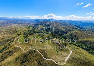 POTRERO DE GARAY | CAMPO DE 80 HECTAREAS + CASA DE 4 DORM