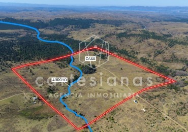 ATENCION! VILLA BERNA. 50 HECTAREAS APTAS PARA VIÑEDO, EMPRENDIMIENTO. 
