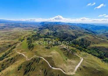 POTRERO DE GARAY | CAMPO DE 80 HECTAREAS + CASA DE 4 DORM+CASA DE SERVICIO+GALPON 